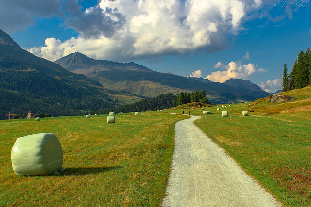 Silvaplana, Switzerland