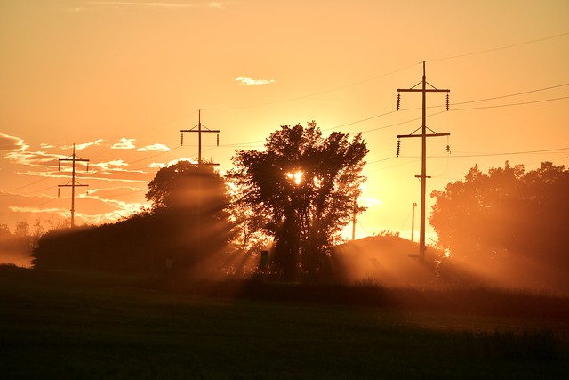 Harvest Light