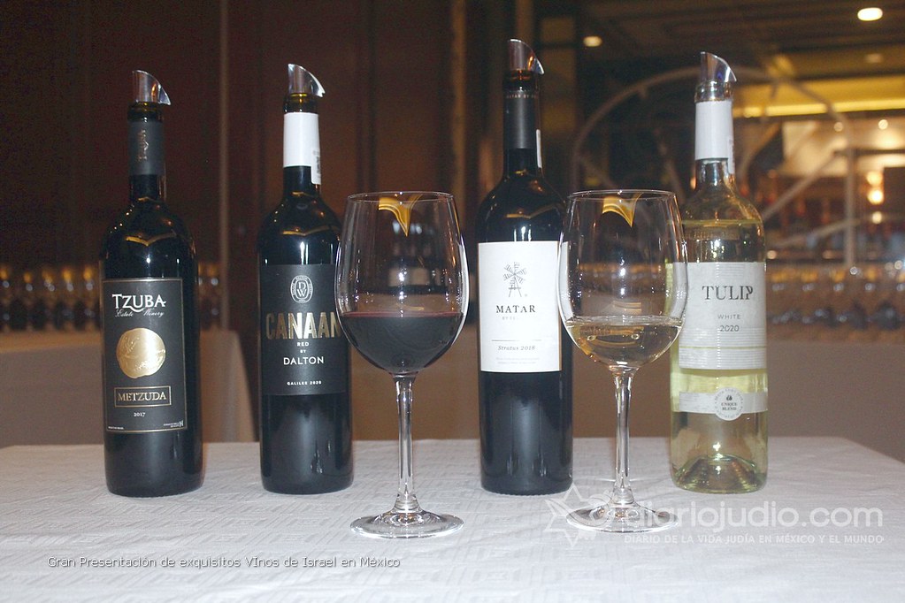 Galería de Fotos 1 Gran Presentación de exquisitos VInos de Israel en México