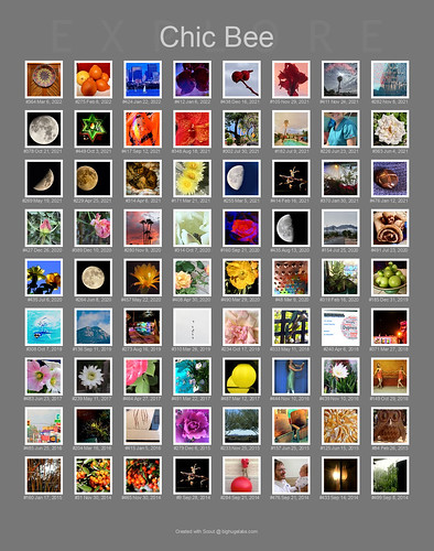 The Most Recent 72 of Chic's 146 Photos That Have Been In Explore | by Chic Bee