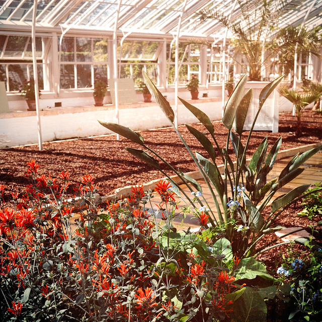 Glasshouse Holkham Hall-2