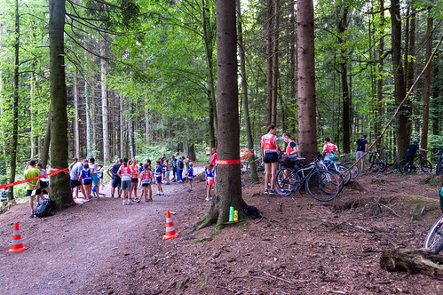 22.08.24 Waldhauslauf