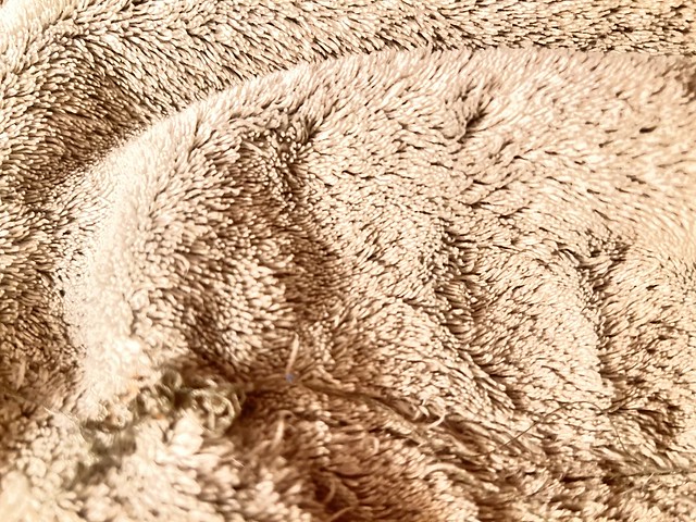 Warm Blanket