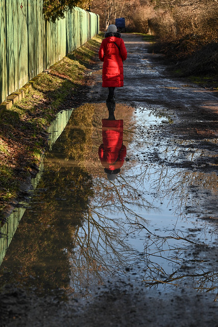 Reflection in red