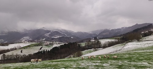 IMG_20230227_091352