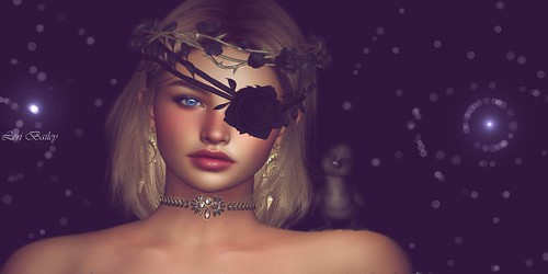 Black Roses | by Lori ʙailey