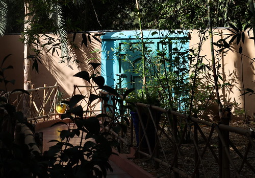 Jardin Majorelle | by Christandl
