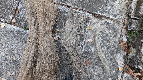From Crop to Fiber