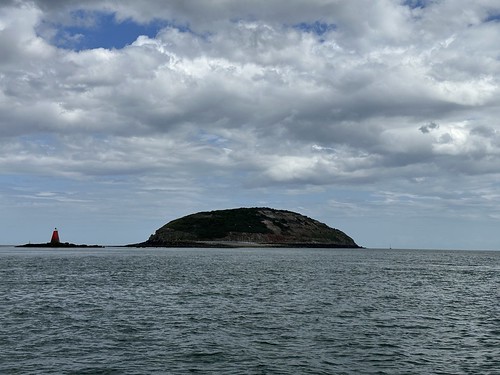 Puffin Island Trip | by radioink