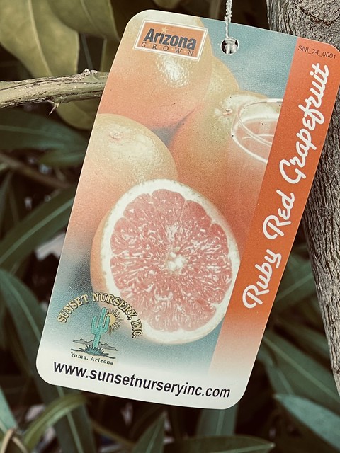 I Love Ruby Red Grapefruit