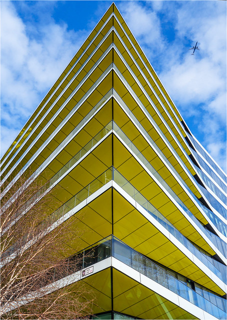 Looking Up 2