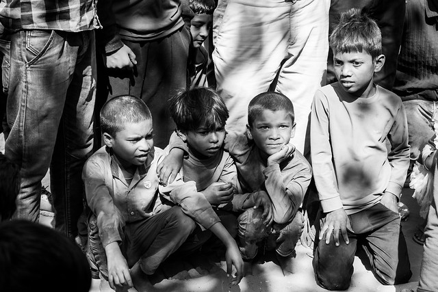 Pushkar Desert Portraits