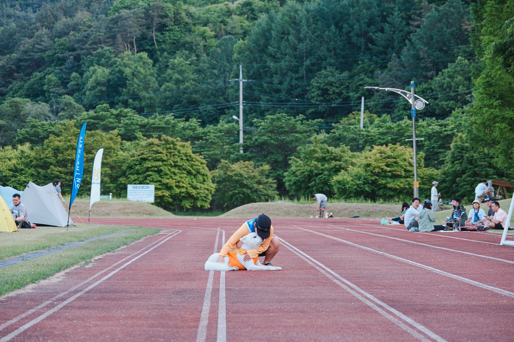DSCF6534