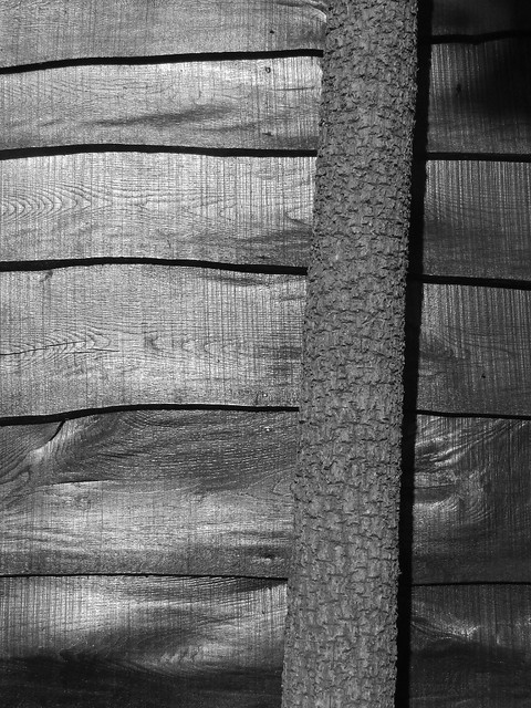 Bark and grain