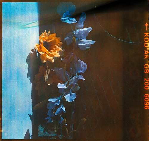artificial foliage | by queue_queue