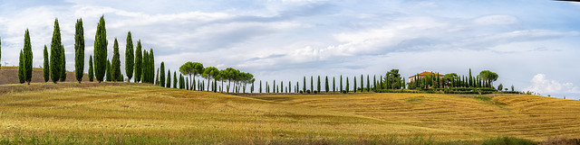 Tuscan Panorama