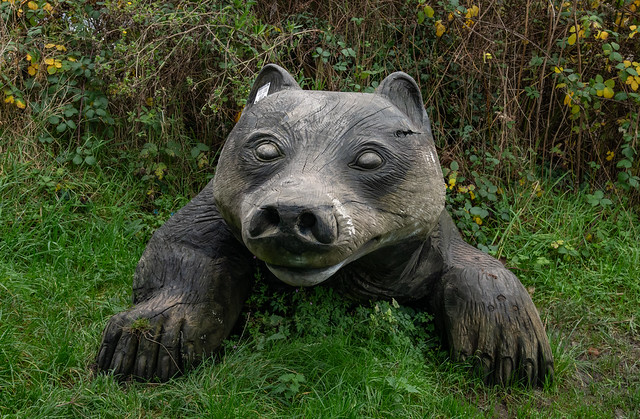 Badger Sculpture. Visitor Centre, Parc Slip Nature Reserve, Aberkenfig, South Wales, 2024-10-23