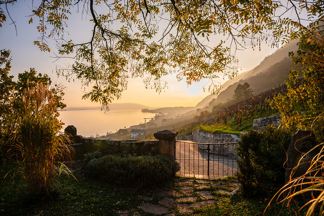 Lake Biel Switzerland
