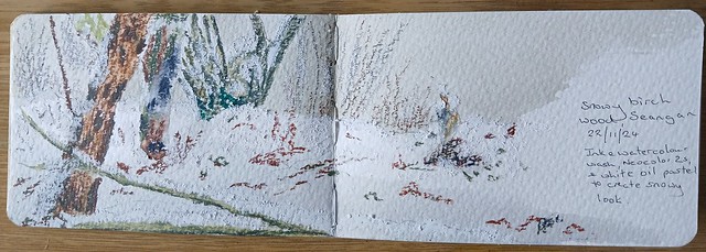 Snowy Birch Wood