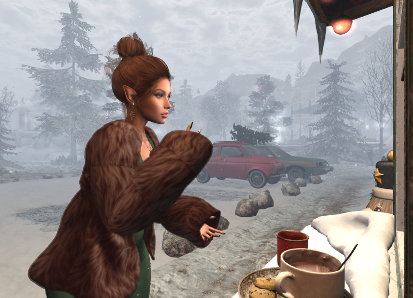 A Trip to the Christmas Tree Farm