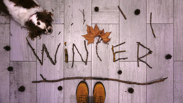 Hello winter!