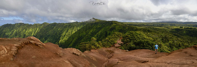 The WIDE view . . . Explore 15-02-2025 #54