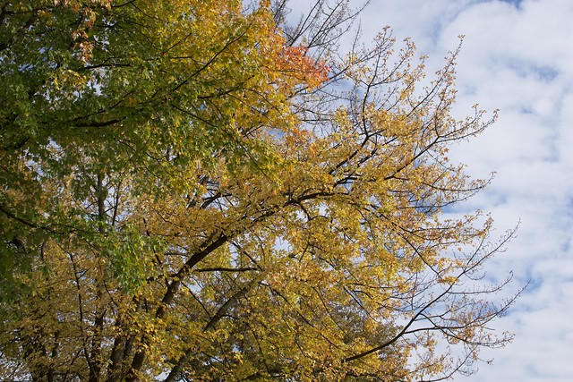 DSC00085