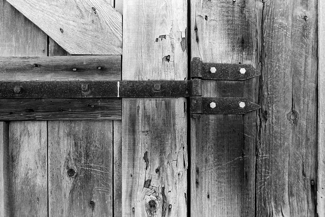 20250307 Elan 7n Acros-22.jpg