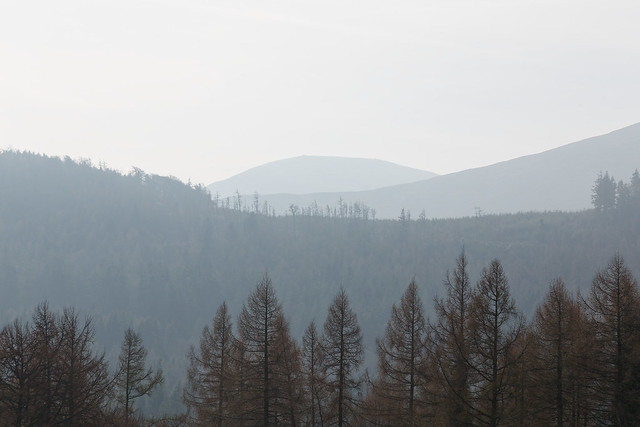 Tollymore