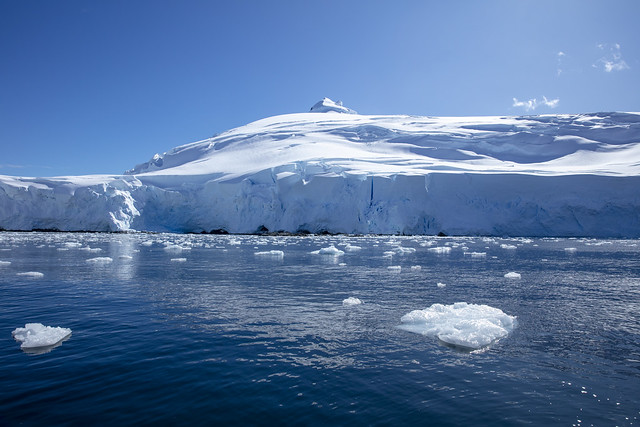Zodiac Cruise around Palaver Point