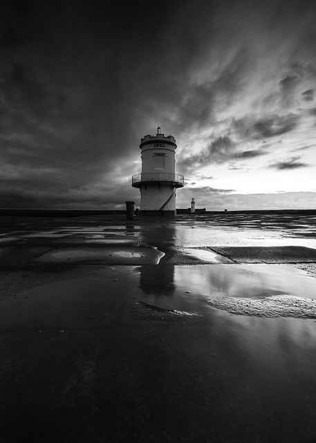 Pier puddle mono