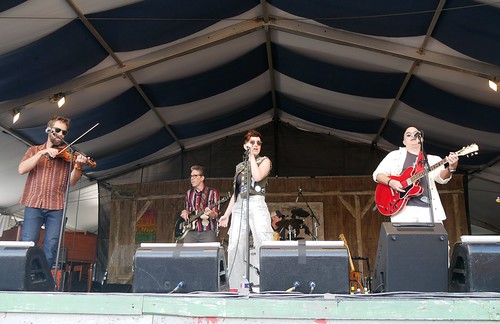 Loose Cattle - Photo by Louis Crispino. 2