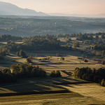 Early morning light