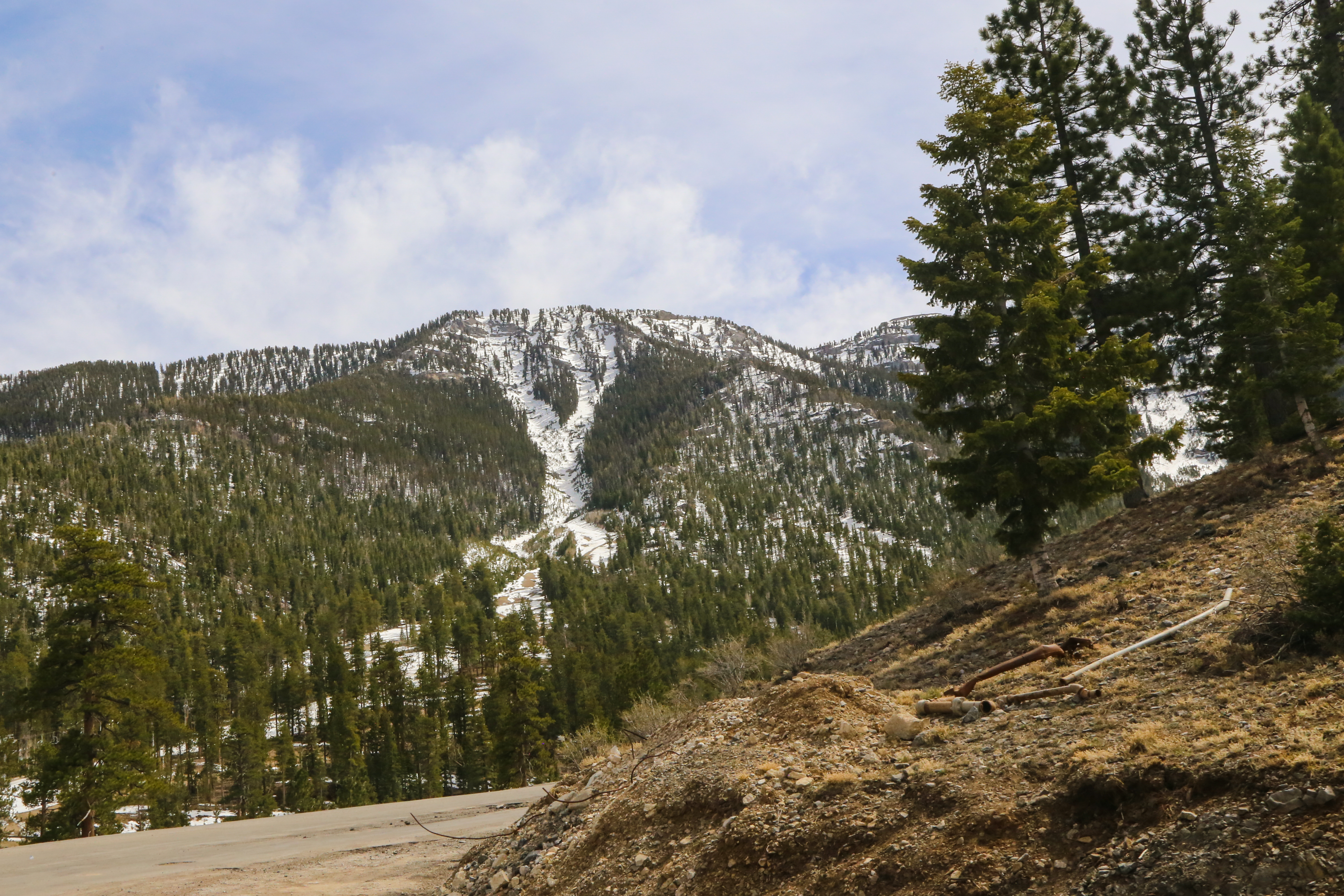 4.12.2025_Vegas.Day6.64