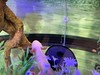 Axolotl at the NS Natural History Museum
