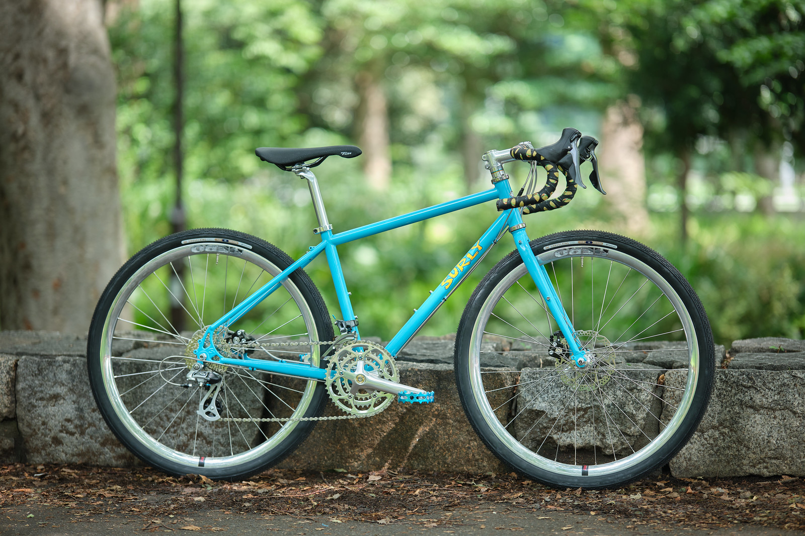 *SURLY* preamble (XS)
