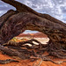 A Glimpse of Eternity • Ein Blick in die Ewigkeit