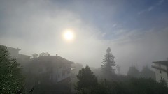 Elgueta.
