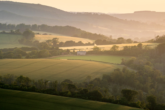 Across the South Downs