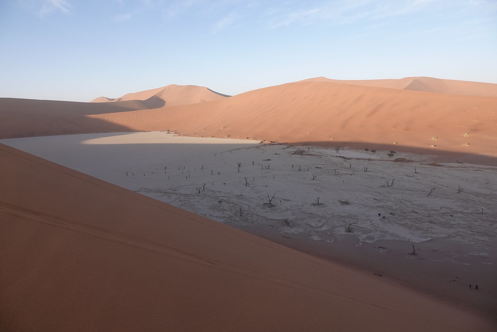 Животные и камни Намибии летом 2024 года