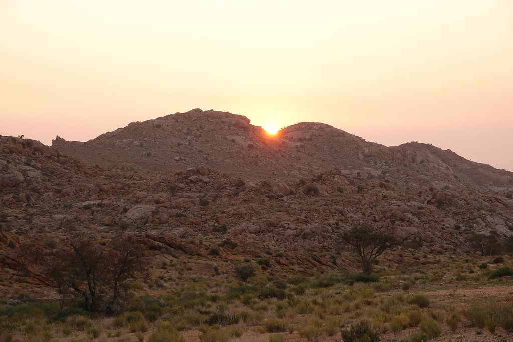 Животные и камни Намибии летом 2024 года