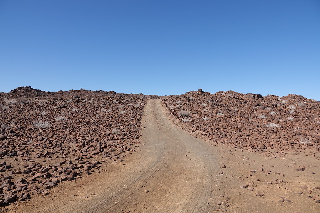 Животные и камни Намибии летом 2024 года