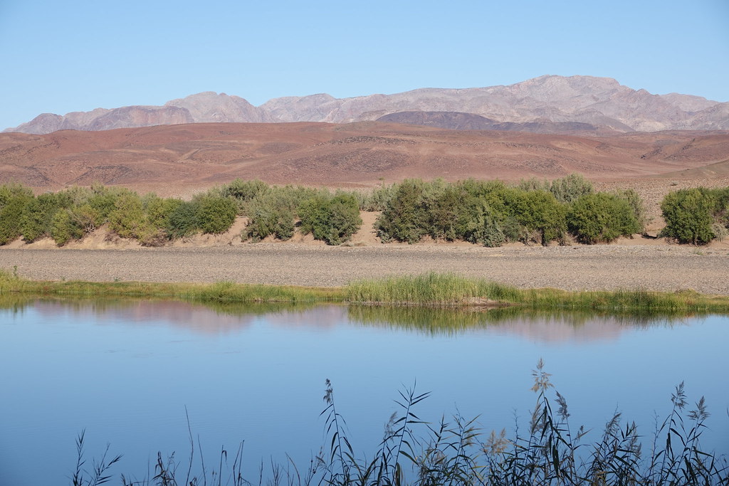 Животные и камни Намибии летом 2024 года