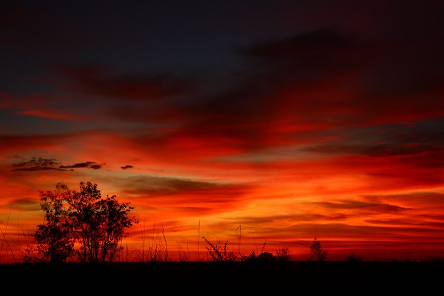 Dusk