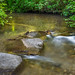 _DSC6047-Edit.jpg