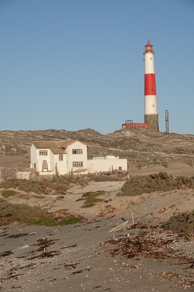 Животные и камни Намибии летом 2024 года