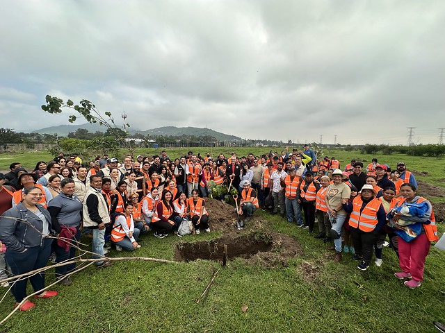 Reforestación CUTlajo