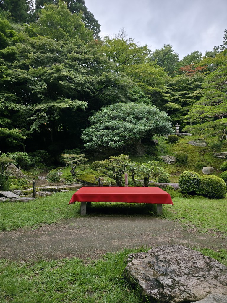 Gadget Experience : Samsung Galaxy S25 Edge untuk Teman Liburan 30 200 megapixel