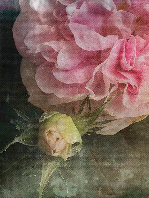 Enchantment