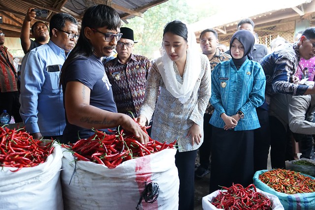 Wamendag Dyah Roro Esti Widya Putri dan Wali Kota Kediri vinanda Tinjau Pasar Grosir Ngronggo, Singgung Kolaborasi Revitalisasi